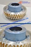 Worm wheel 200298035 Use For THYSSENKRUPP