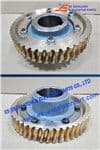 Worm wheel 200298045 Use For THYSSENKRUPP